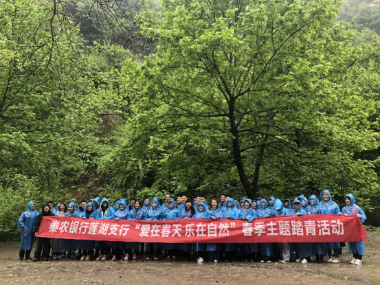 191589852686363041.png image.png