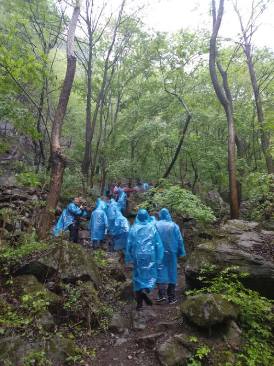 191589852699283392.png image.png