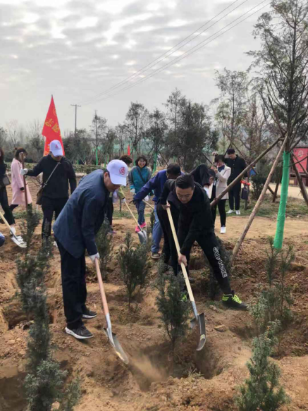 191589854275986604.png image.png