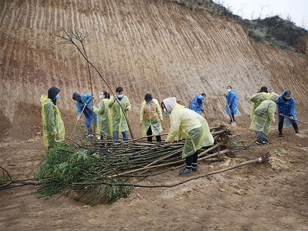 191589866836557609.jpeg 微信图片_20200519134646.jpg