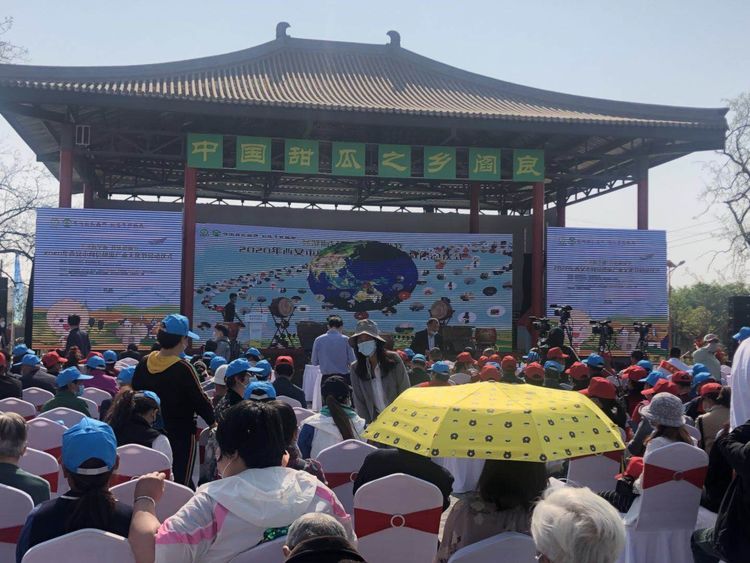 191589872273919078.jpeg 1.jpg