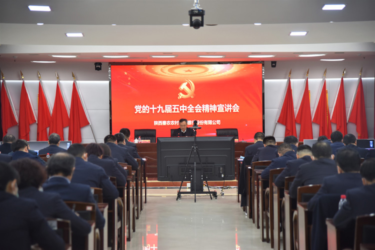 111607655094193095.jpeg 3.jpg