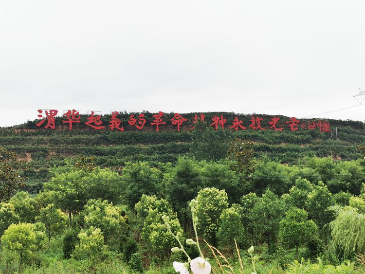 211624266413867696.png 图片1 (1).png