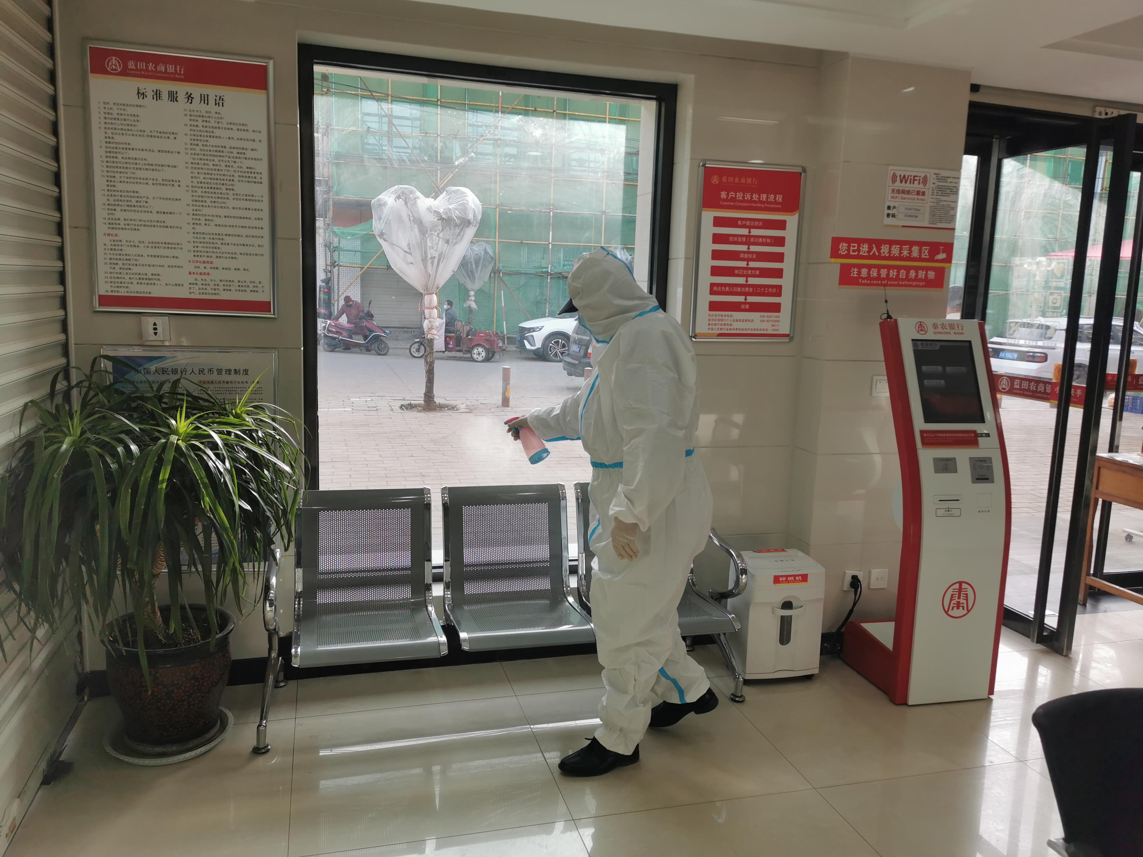 241643013095728790.jpeg 241643013095728790.jpeg