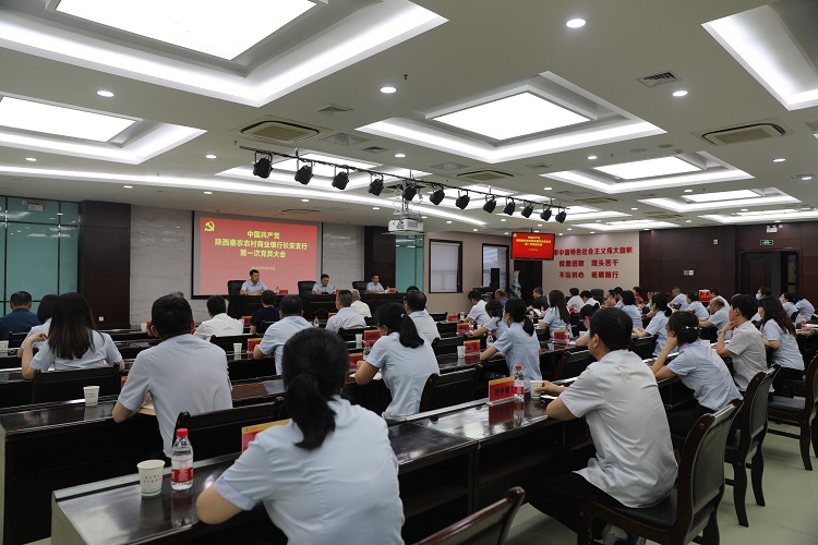 231655951691197464.jpeg 1.JPG