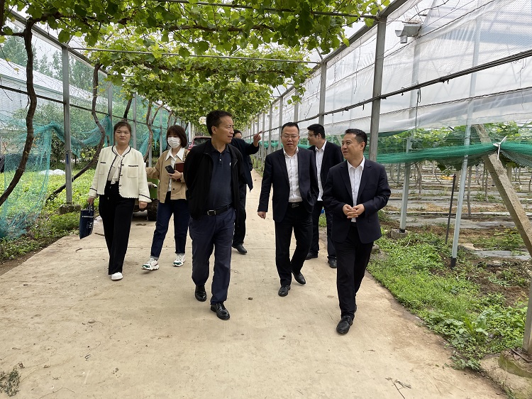 291685347419149252.jpeg 291685347419149252.jpeg