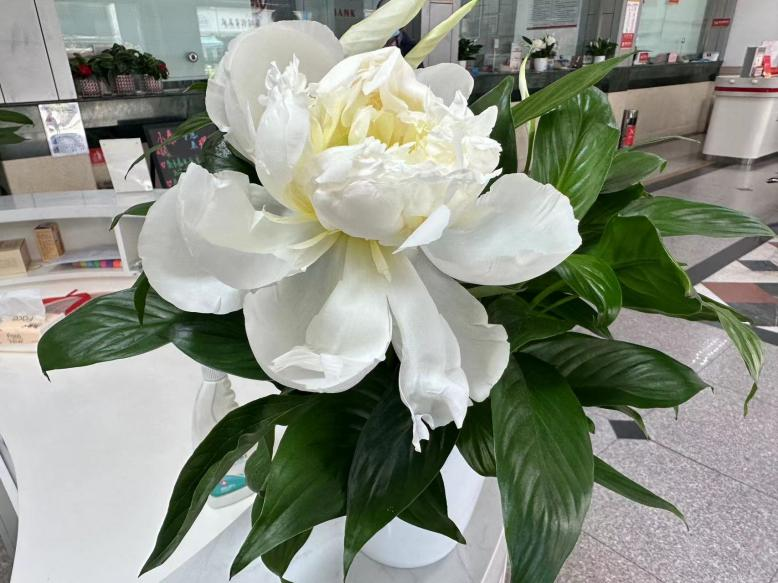 141686712335114888.png 141686712335114888.png