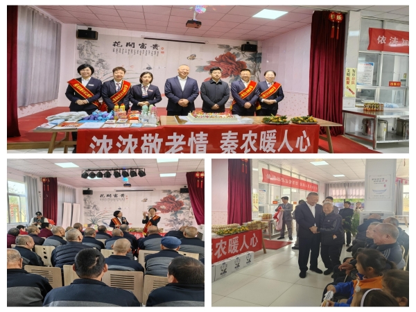 261698305381939582.jpeg 1.jpg