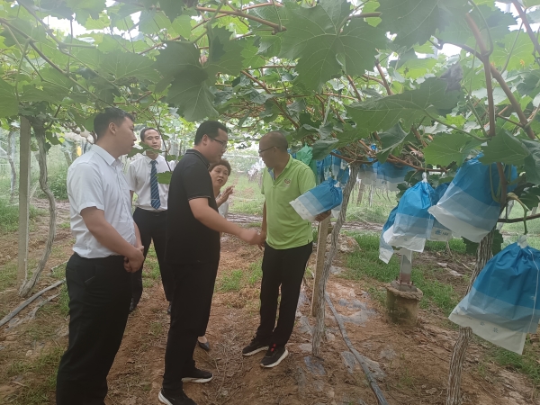 301698648195206539.jpeg QQ(1)_副本.jpg