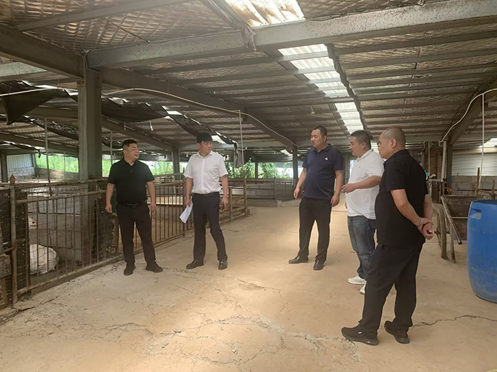 091723177341106922.jpeg 7c60ad76-811c-48f6-8391-fa2c1772d9fe.jpg