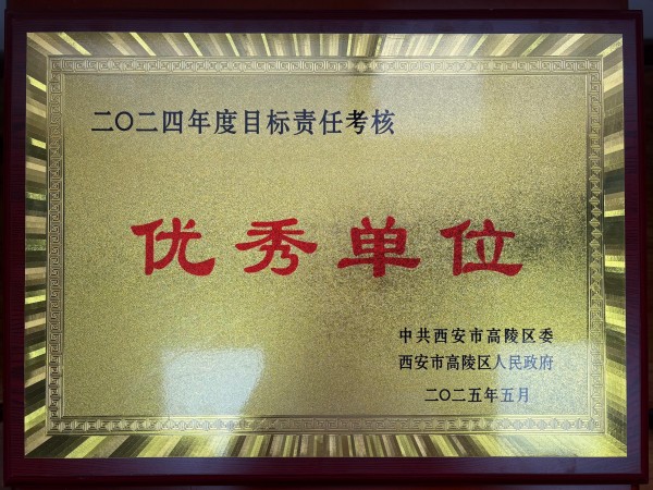 2024年度目标责任考核优秀单位.jpg