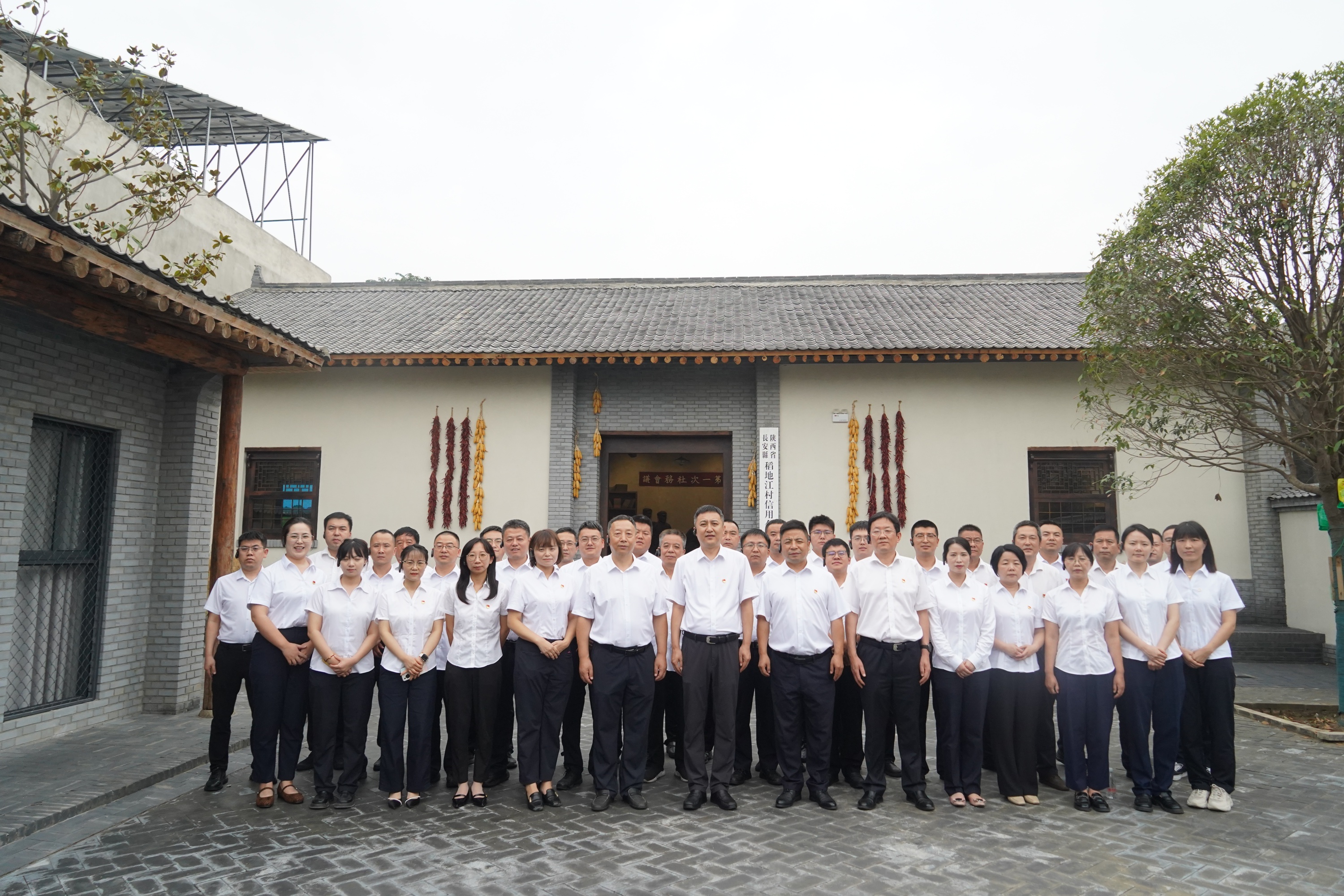 251753427311110898.jpeg 19.jpg